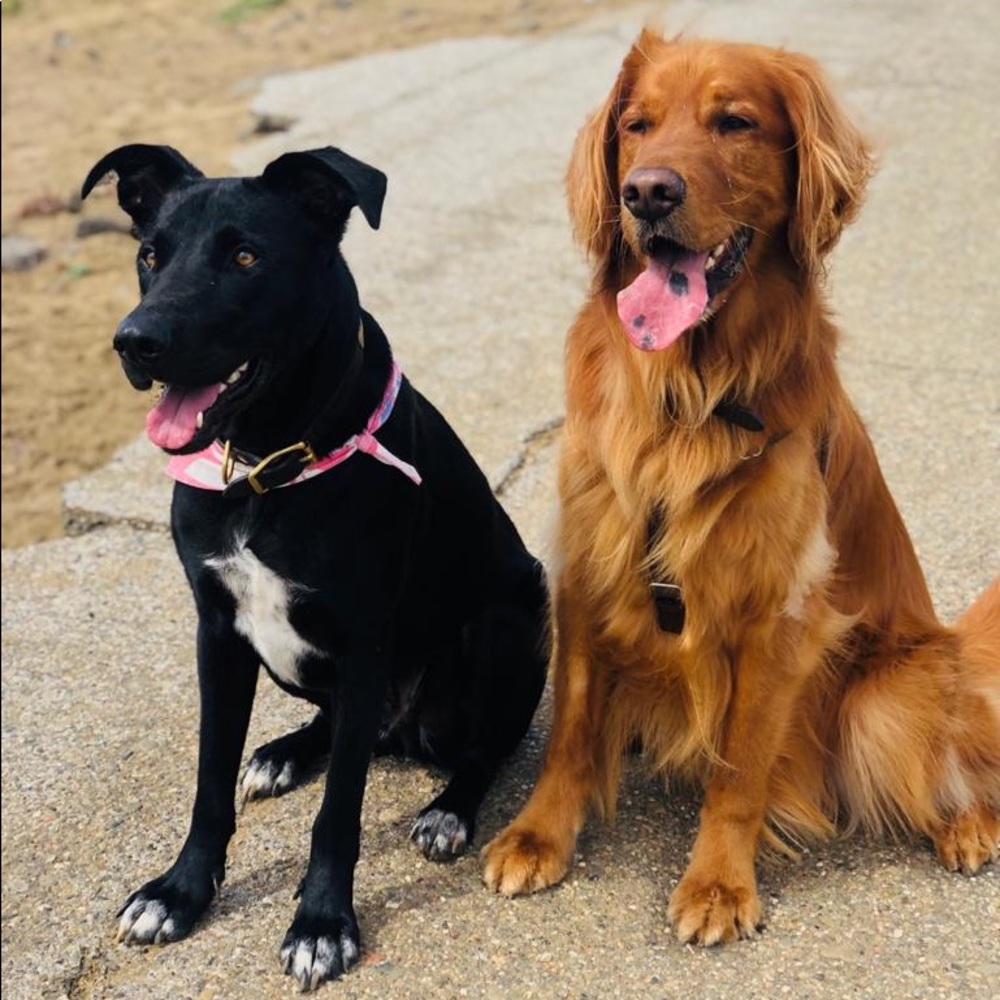 Meet your Posher, Chloe